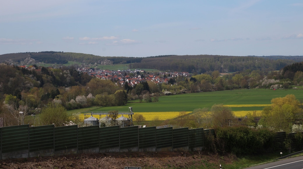 Odenhausen (Lahn)