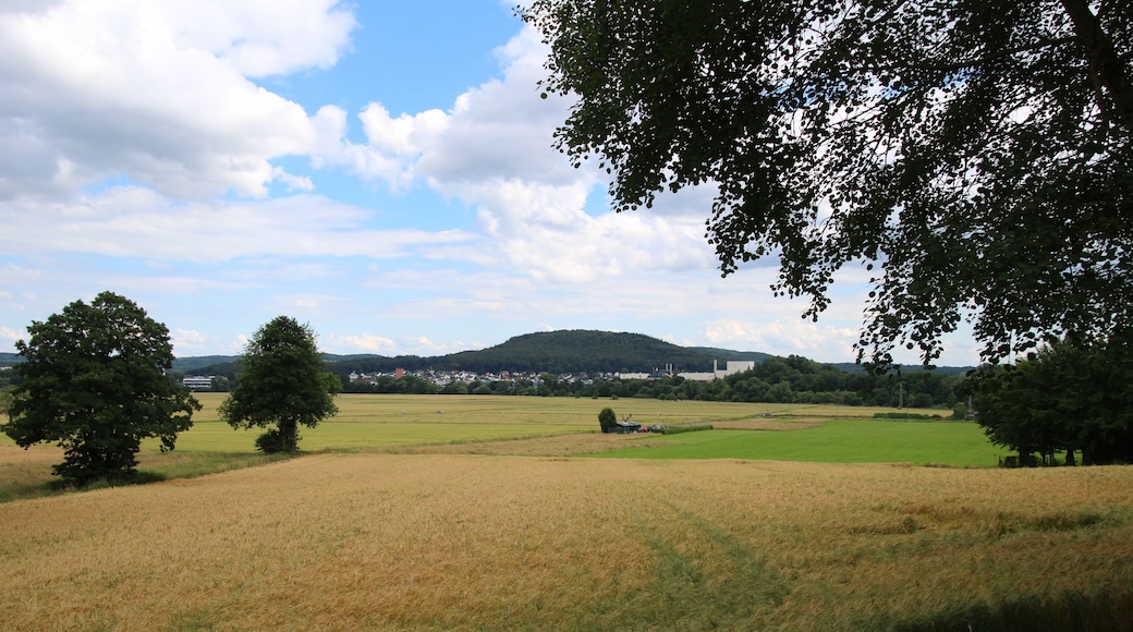 Aufnahmestandort: Fischteiche bei Ruttershausen. In der Bildmitte der Lollarer Kopf. Rechts davon das Industriegebiet von Lollar. Links davon der Gichtturm (roter Ziegelbau)
