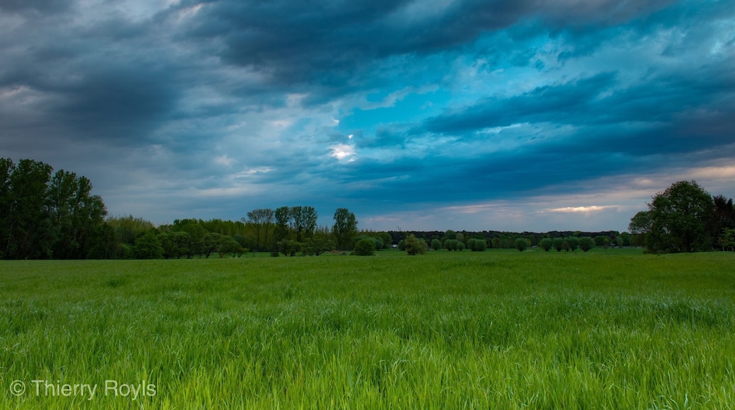 Nice view on the fields from one of the entries of the Boortmeerbeekse bos, many birds to spot there.
More pictures on Instagram @thierryroyls
