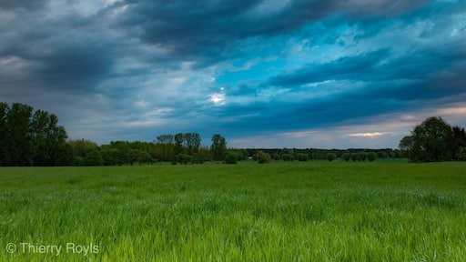 Nice view on the fields from one of the entries of the Boortmeerbeekse bos, many birds to spot there.
More pictures on Instagram @thierryroyls