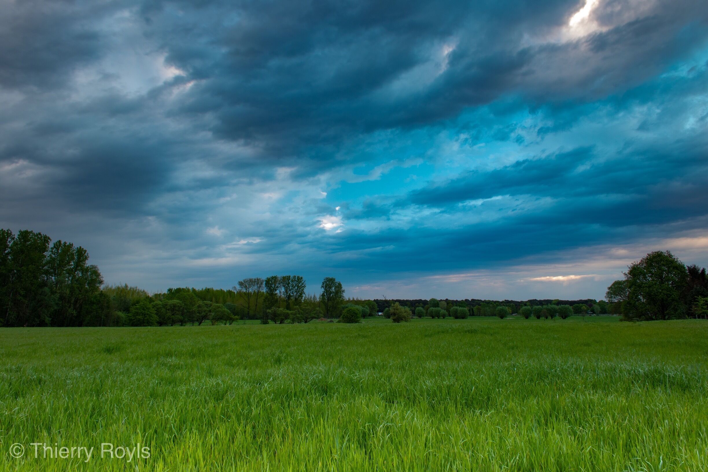 A grassy field with a cloudy sky.