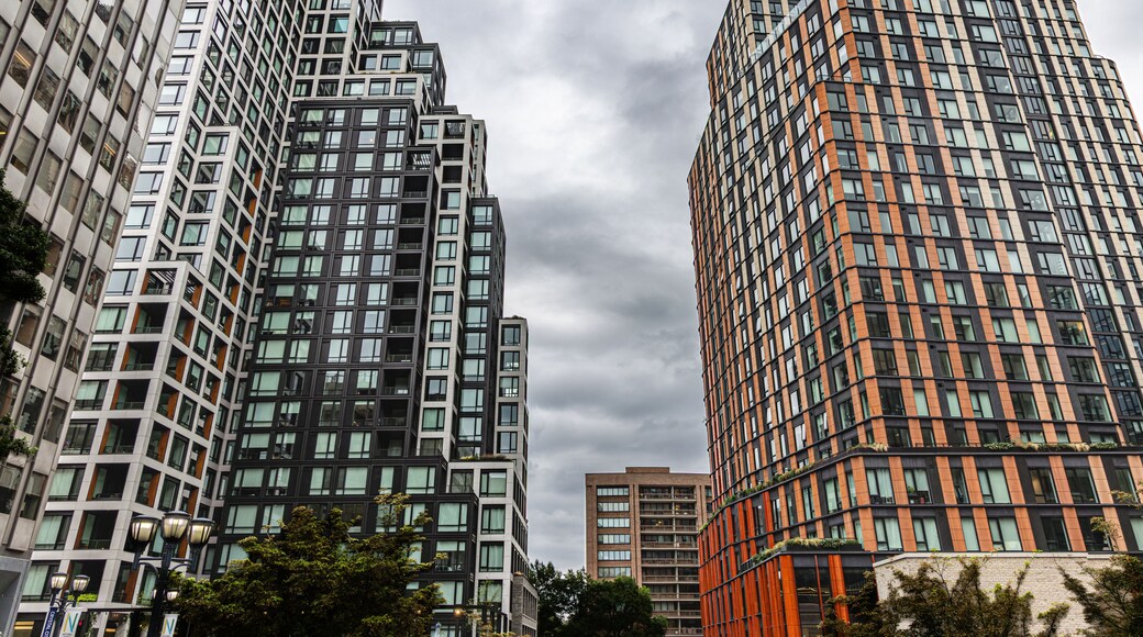 كريستال سيتي