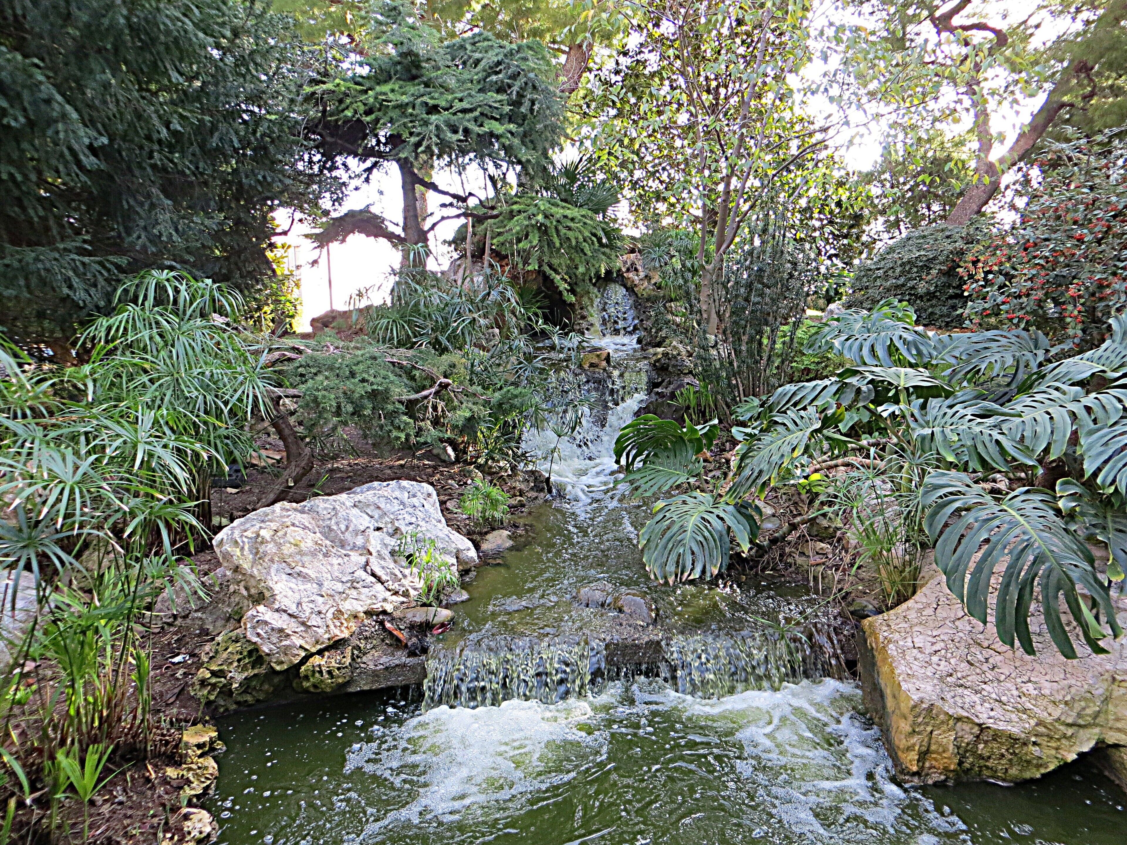 Roseraie Princesse Grace