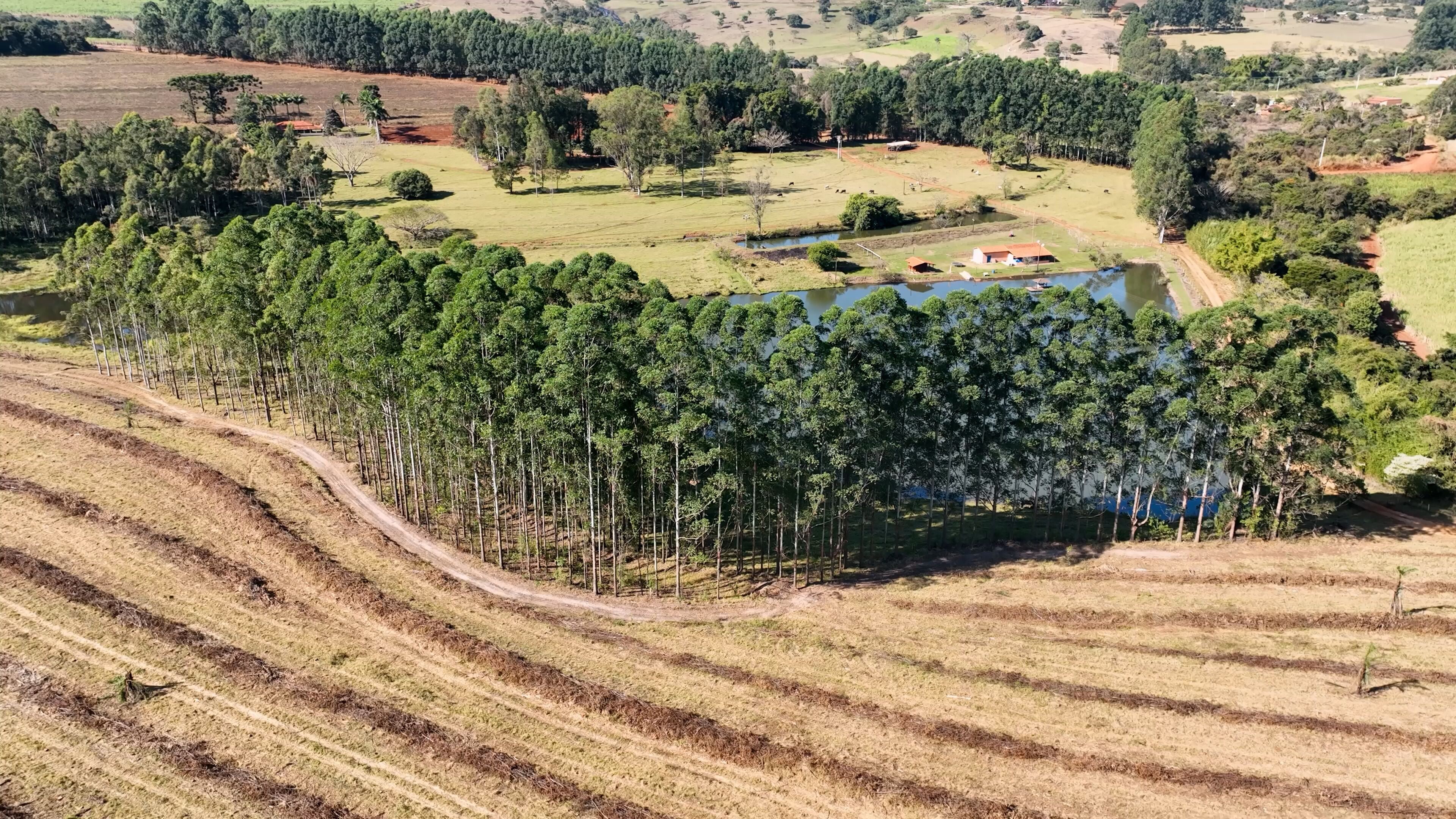 Farmland rural landscape. Farming scenery. Harvest time at rural life. Farm land rustic countryside scenic aerial landscape. Rural life scenery. Agriculture field environment.