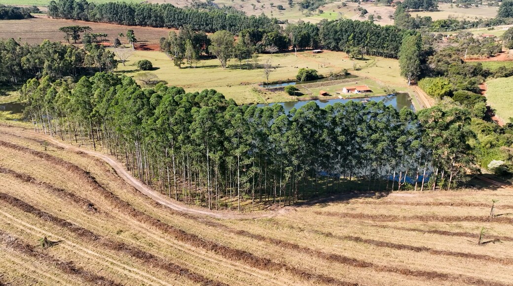 Farmland rural landscape. Farming scenery. Harvest time at rural life. Farm land rustic countryside scenic aerial landscape. Rural life scenery. Agriculture field environment.