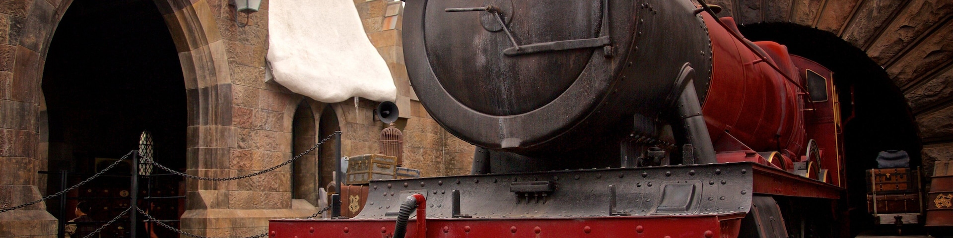 The Wizarding World of Harry Potter™ showing rides as well as an individual male