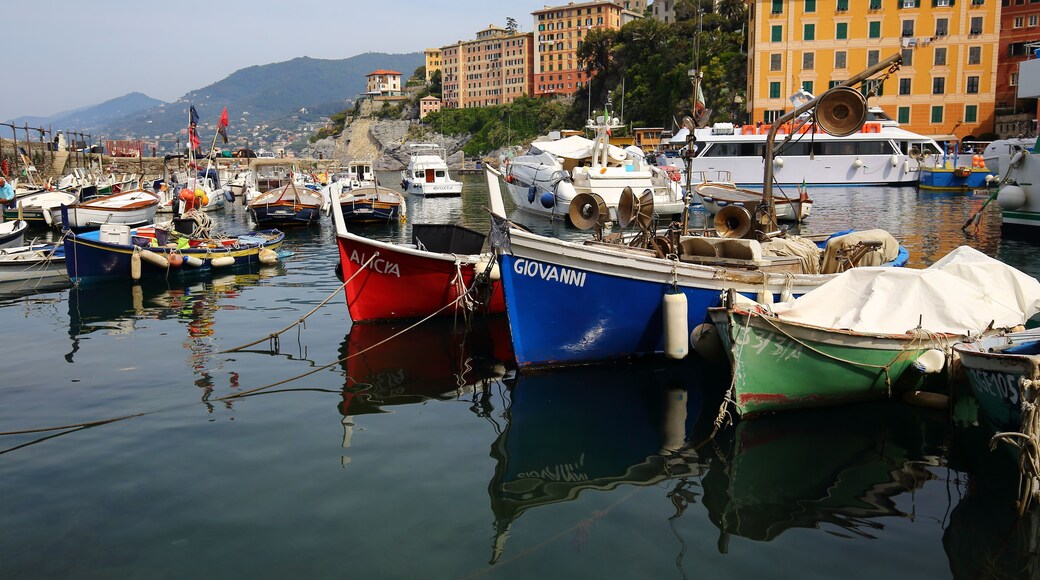 Marina di Camogli