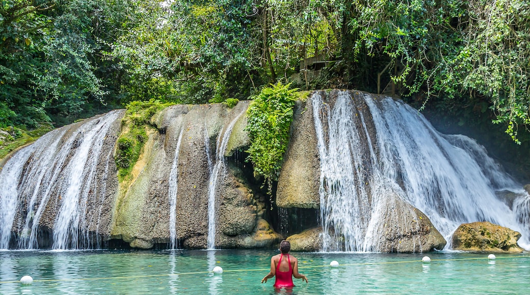ReachFallsJamaica