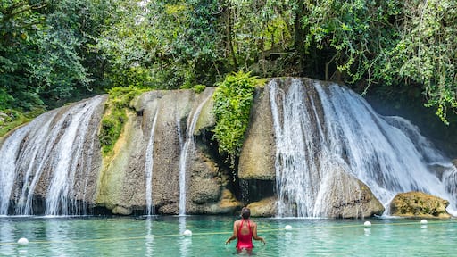 ReachFallsJamaica