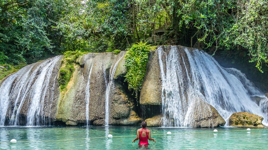 ReachFallsJamaica