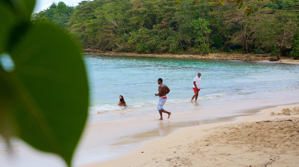 Winnifred Beach featuring a beach as well as a small group of people