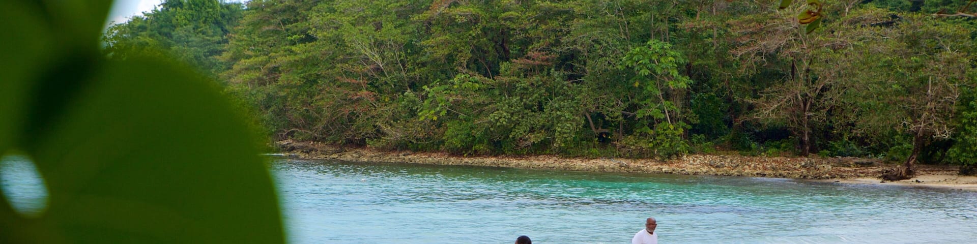 Winnifred Beach featuring a sandy beach as well as a small group of people