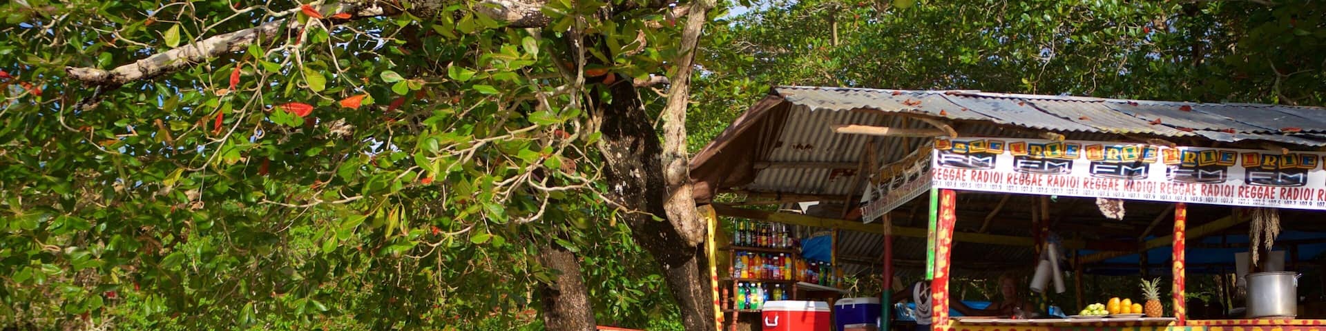 Un puesto de comida en la playa con un letrero llamativo, un árbol y un mar tranquilo.