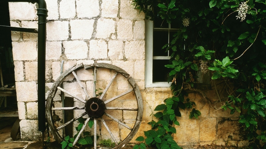View of the house of Elizabeth Barrett Browning's father, Jamaica