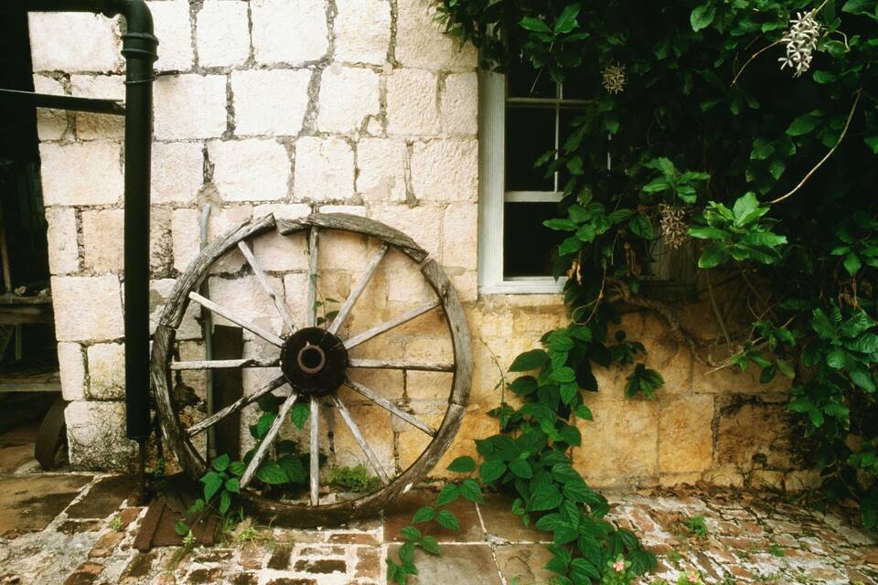 A rustic stone wall with a large, weathered wooden wheel, a window, and lush green ivy.