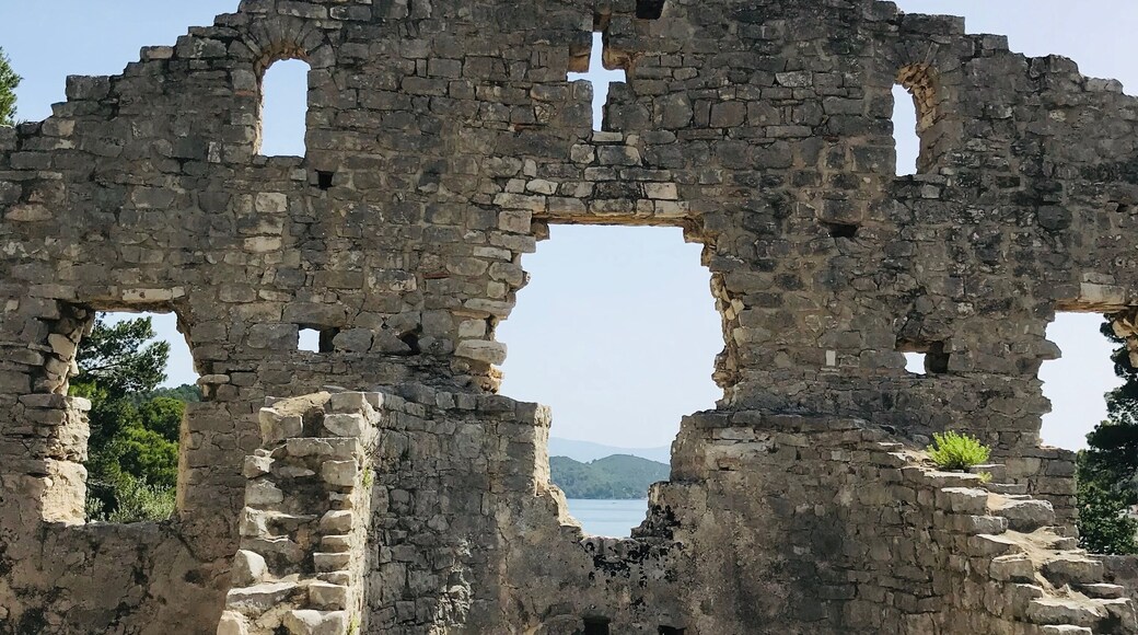 Christian bascilica polace