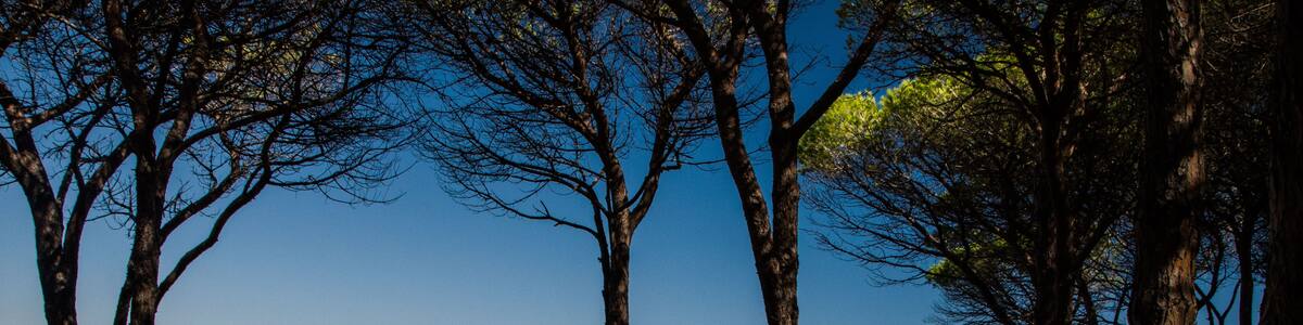 BUDONI Sardinia Italy TANAUNELLA BEACH