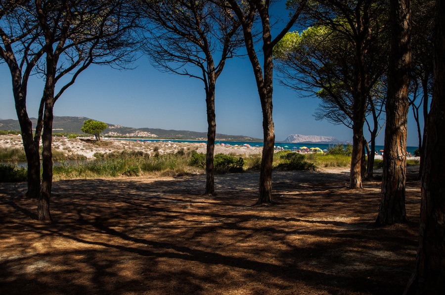 BUDONI Sardinia Italy TANAUNELLA BEACH