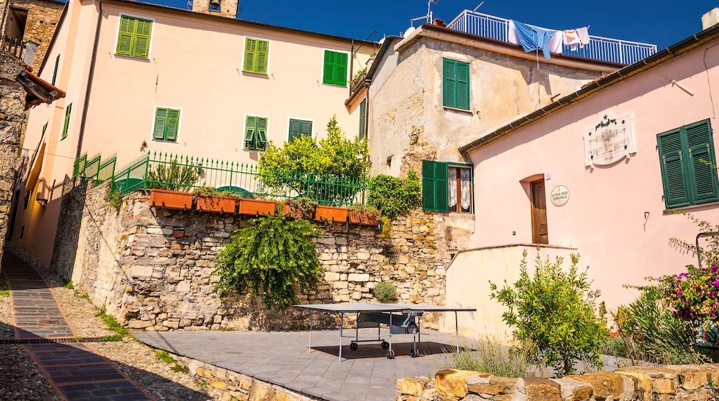 科斯塔拉伊內拉