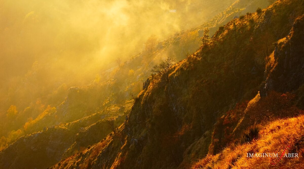 Monte Caucaso is a mountain in Liguria, northern Italy, part of the Ligurian Appennines. It is located in the province of Genoa. It lies at an altitude of 1245 metres. Its summit can be easily reached via a walking path departing from the nearby village of Barbagelata. On its top there's a refuge with 12 beds.