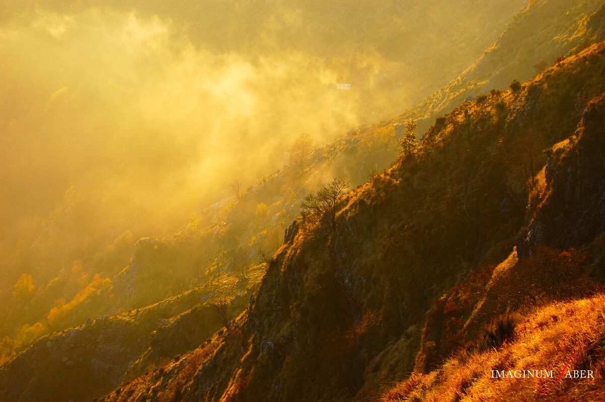 A mountainous landscape with dense vegetation and a misty atmosphere.
