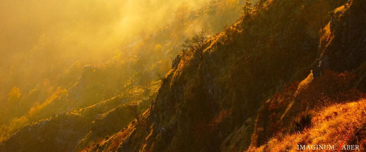 A mountainous landscape with dense vegetation and a misty atmosphere.
