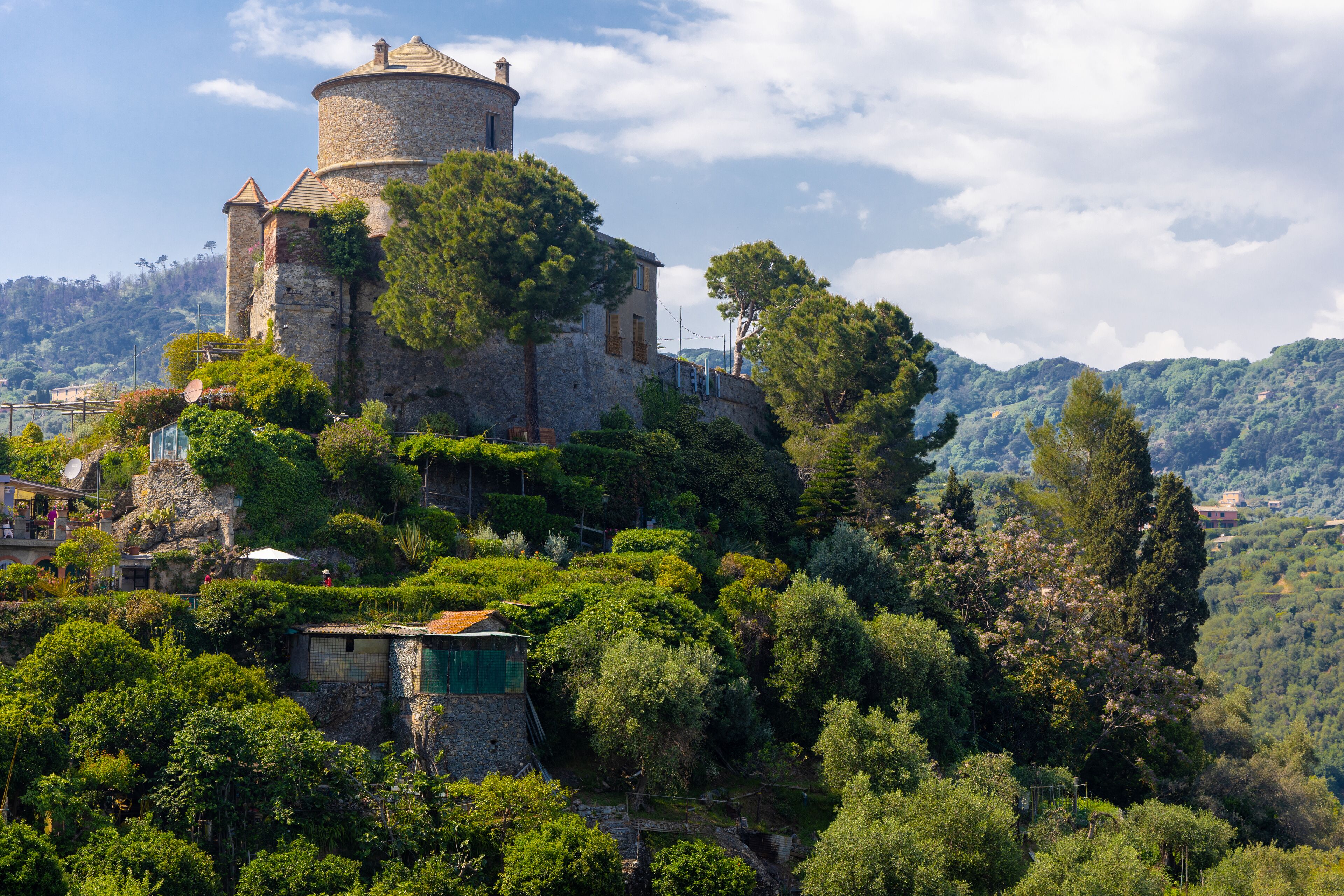 Brown Castle surrounded by green olive trees and plants in the middle of the summer. Castello Brown is a historic house museum located high above the harbour of Portofino, Italy.
