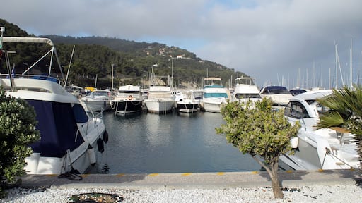 Marina di Andora is a town on the Italian Riviera in the region of Liguria, included in the province of Savona