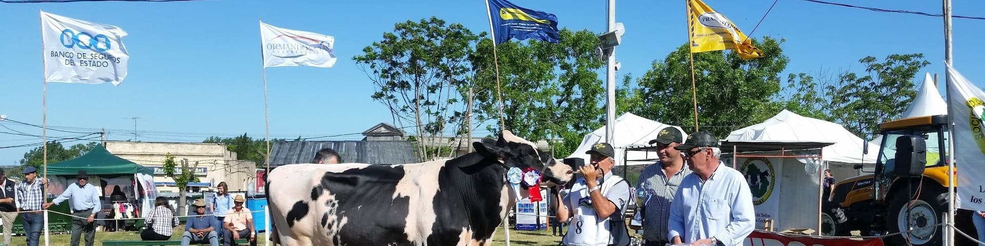 Dairy contest