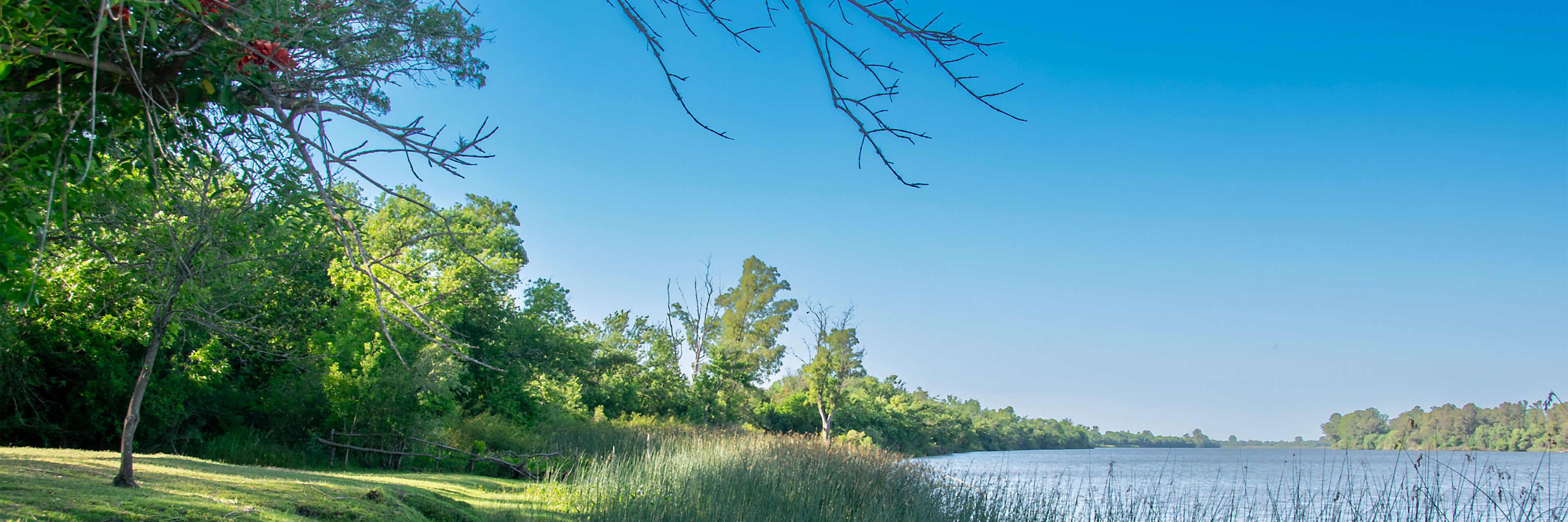 Santa lucia river landscape, los cerrillos, uruguay