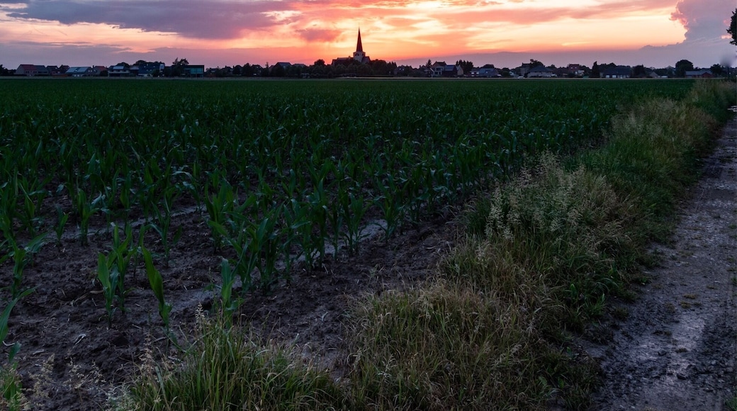 On the walking path between het groene vallei and the village of Berg, along the torfbroek you have an amazing view on the fields and the villages of Berg and Erps-Kwerps, perfect to photography wonderful sunsets on this little village.
More pictures on Instagram @thierryroyls_nature