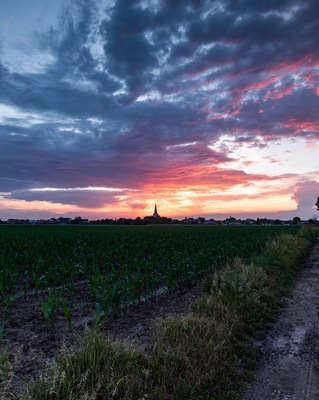 On the walking path between het groene vallei and the village of Berg, along the torfbroek you have an amazing view on the fields and the villages of Berg and Erps-Kwerps, perfect to photography wonderful sunsets on this little village.
More pictures on Instagram @thierryroyls_nature