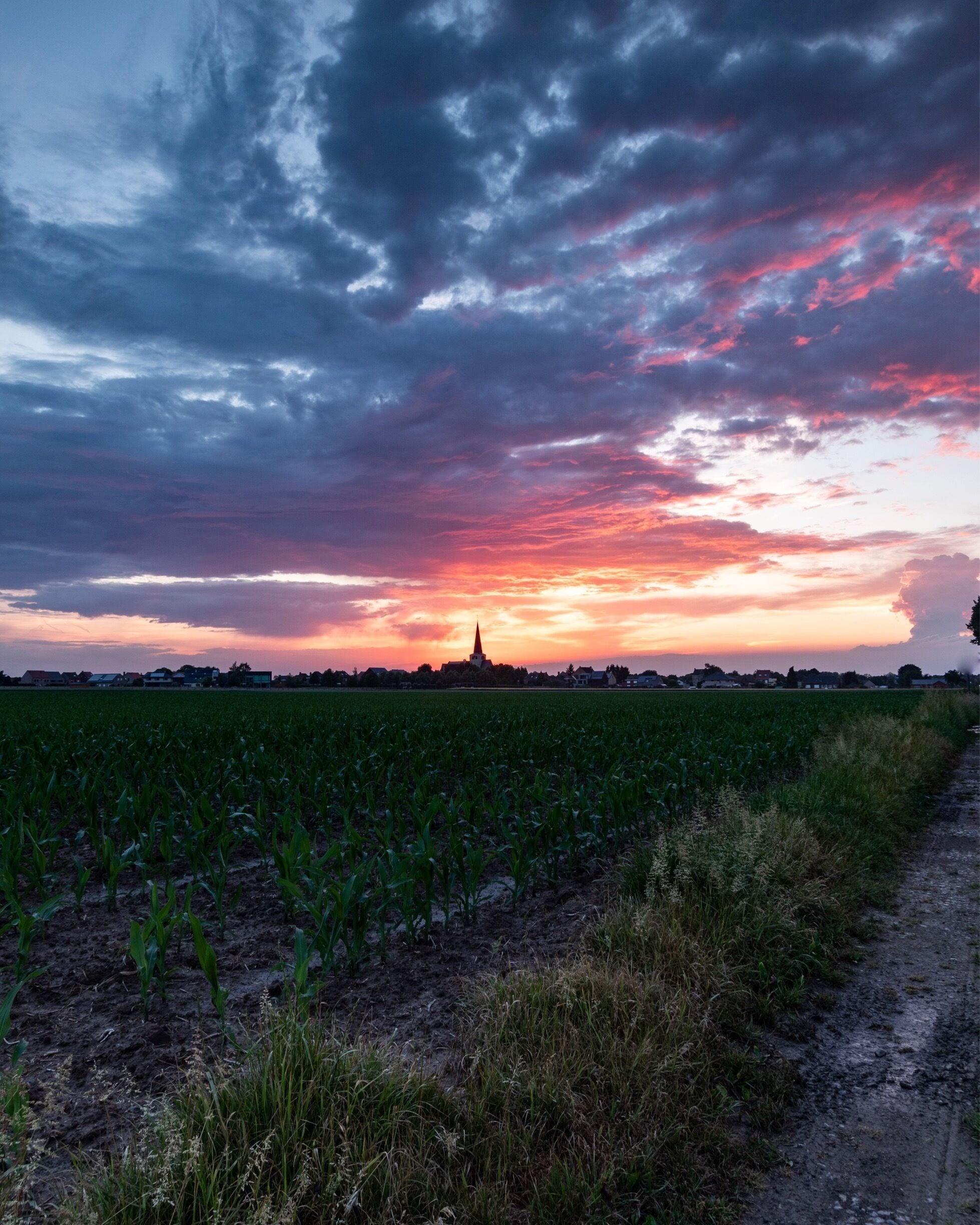 A sunset over a field with a distant building.