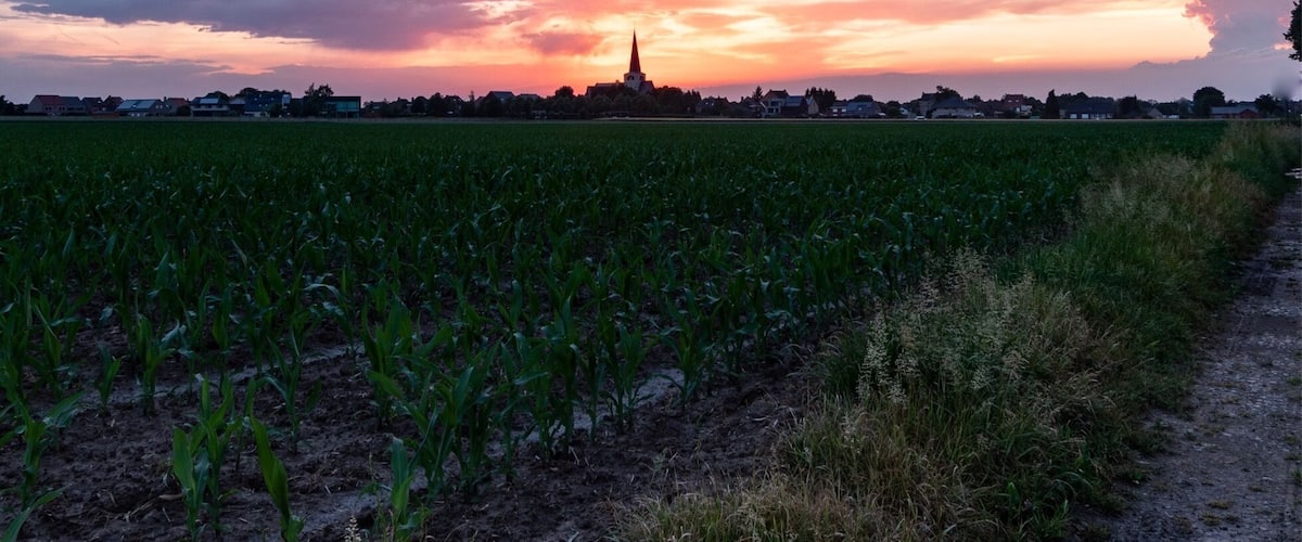 A sunset over a field with a distant building.