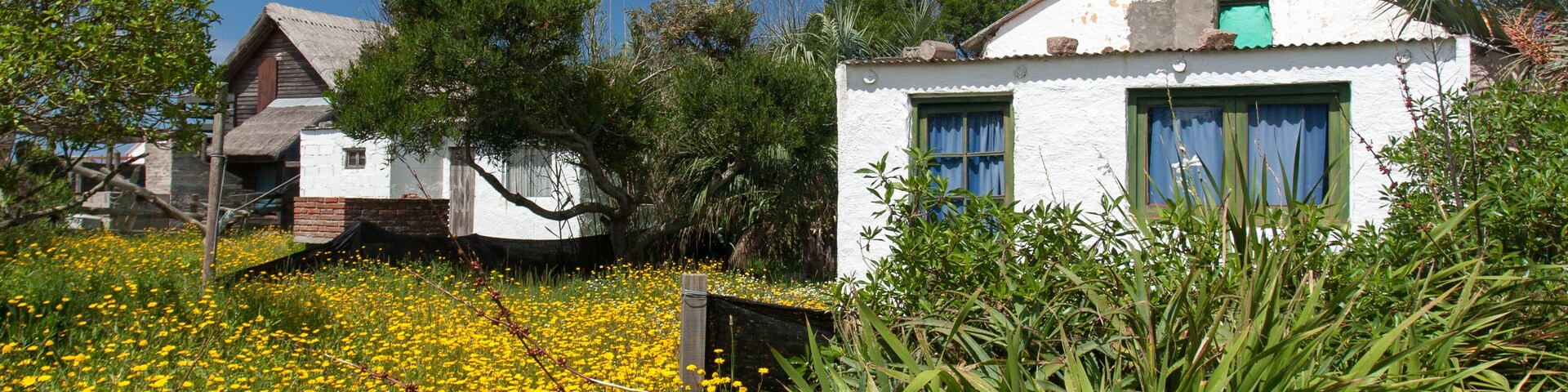Casas com jardins floridos