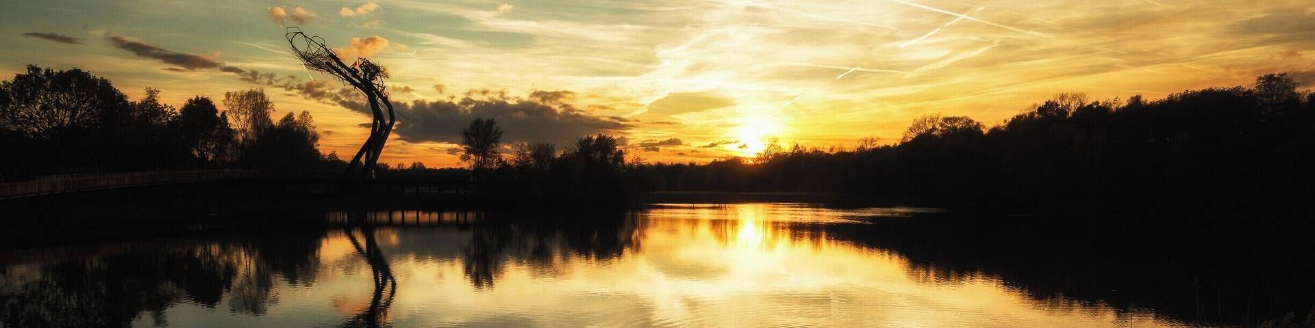 De Schorre, Belgium. This is the area where they hold the famous festival Tomorrowland. When the festival is not happening it's also a beautiful area to walk around through.