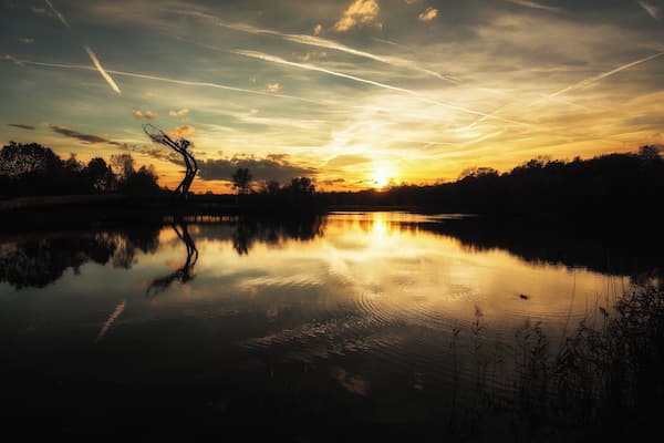 De Schorre, Belgium. This is the area where they hold the famous festival Tomorrowland. When the festival is not happening it's also a beautiful area to walk around through.