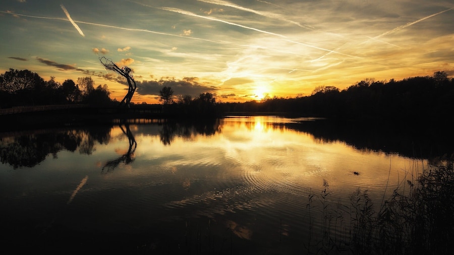 De Schorre, Belgium. This is the area where they hold the famous festival Tomorrowland. When the festival is not happening it's also a beautiful area to walk around through.