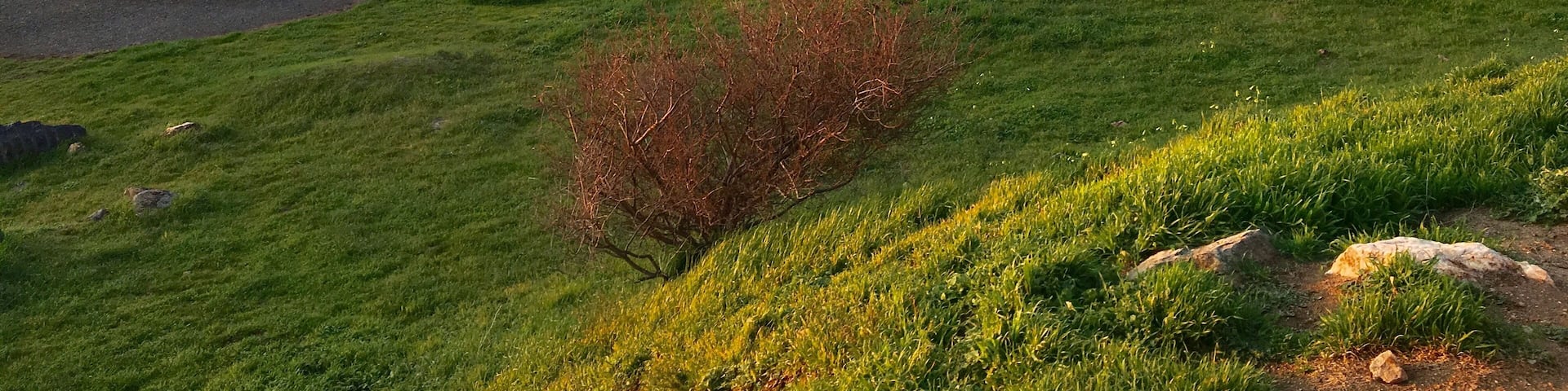 Menglers Hill Pic (3) at near sunset. Mid teens temperature today and a stunning sunset beneath the clouds facing west. Did you know SA is one of the places on this glorious earth of ours where the Sun always sets over the ocean! 😏