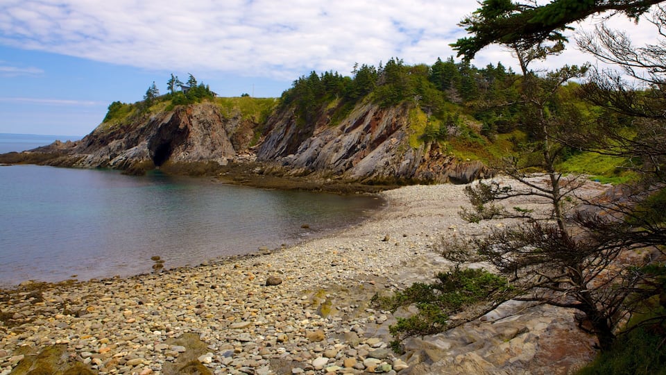 A rocky shoreline with a forested cliff and a calm body of water.
