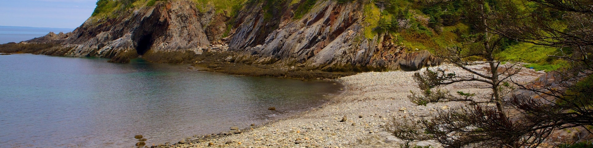 Cala Smuggler\'s Cove mostrando litoral accidentado, una playa de guijarros y vistas de una costa