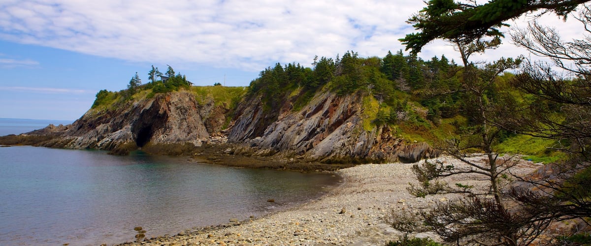 A rocky shoreline with a forested cliff and a calm body of water.