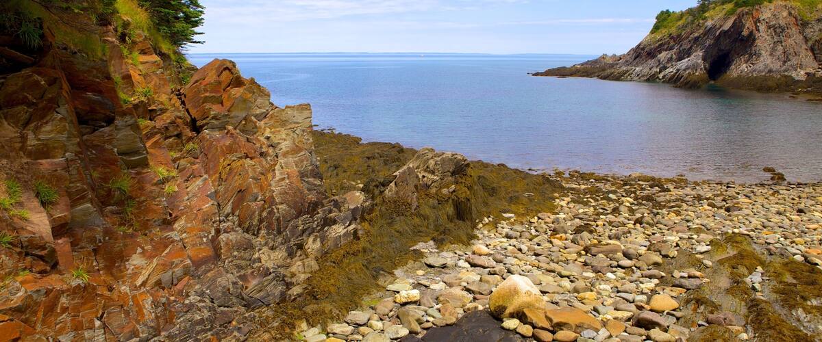 Cala Smuggler\'s Cove ofreciendo costa rocosa y una playa de piedras
