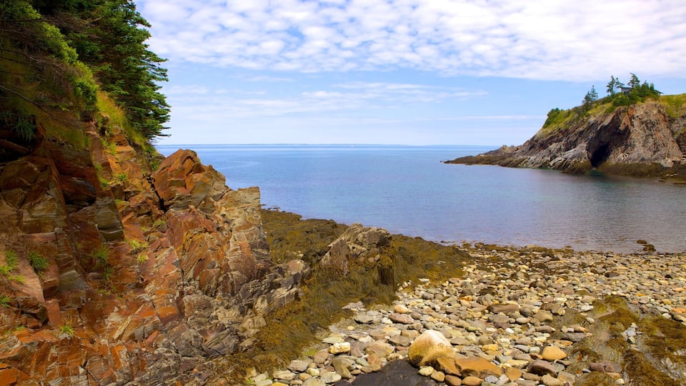 A rocky shoreline with a view of the ocean and a forested cliff.