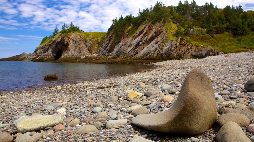 Smuggler\'s Cove showing rocky coastline and a pebble beach