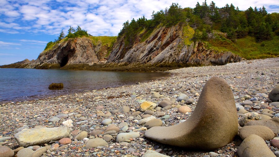 Vịnh Smugglers trong đó bao gồm bãi biển sỏi và bờ biển lởm chởm