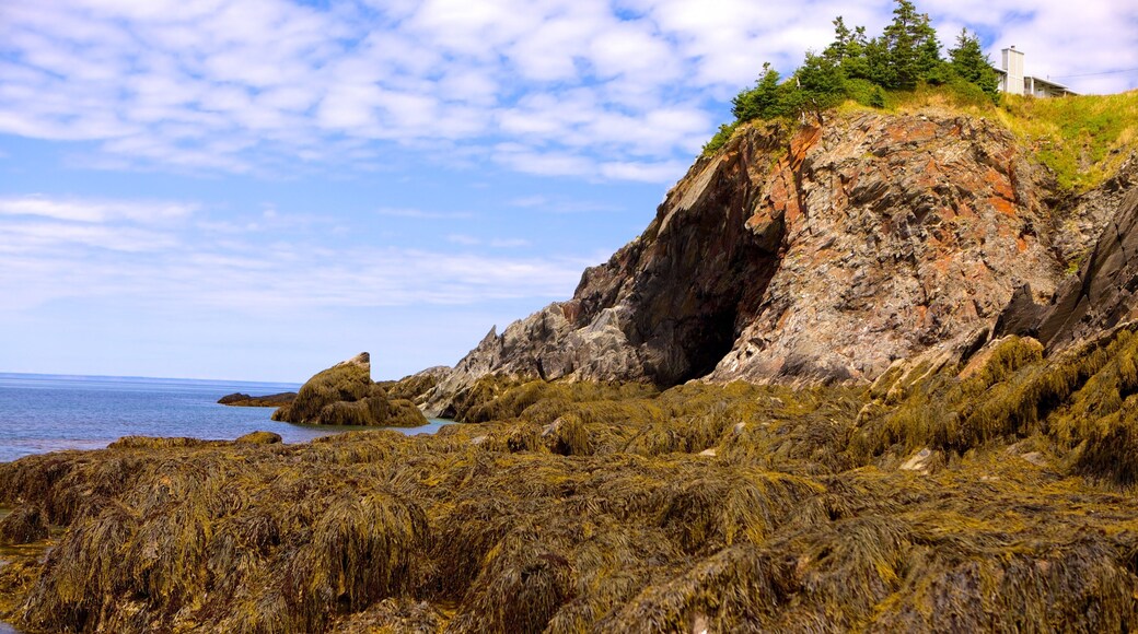 Smuggler\'s Cove featuring rocky coastline