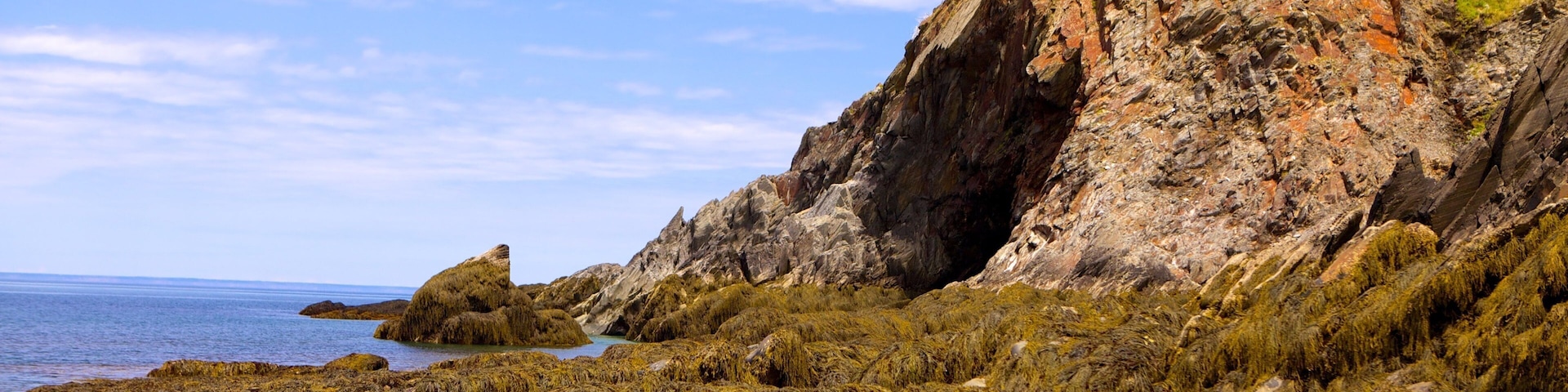 Cala Smuggler\'s Cove que incluye costa escarpada