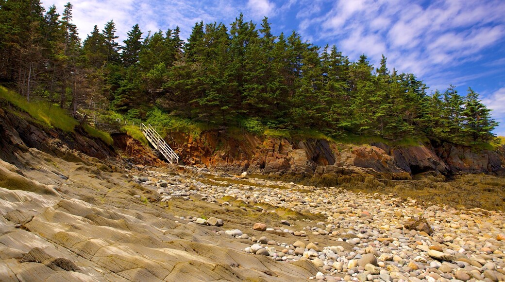 Smuggler\'s Cove showing rugged coastline