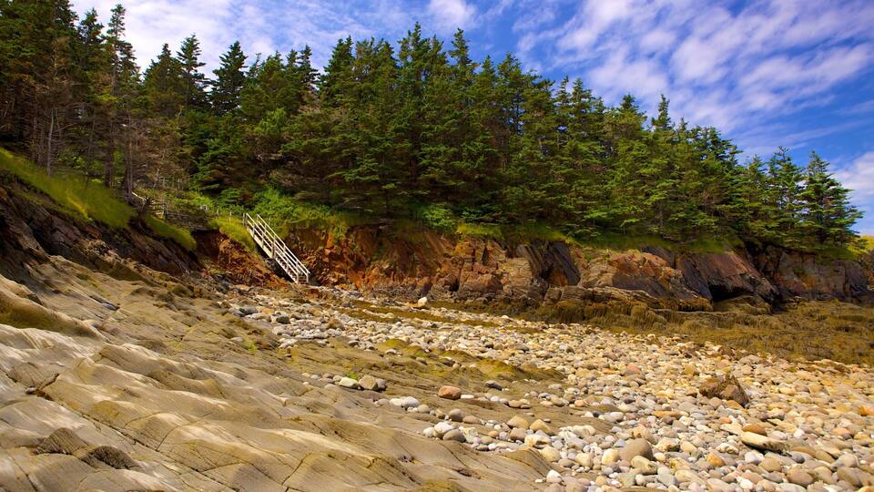A rocky beach with a wooden staircase leading up a cliff, surrounded by dense green forest.